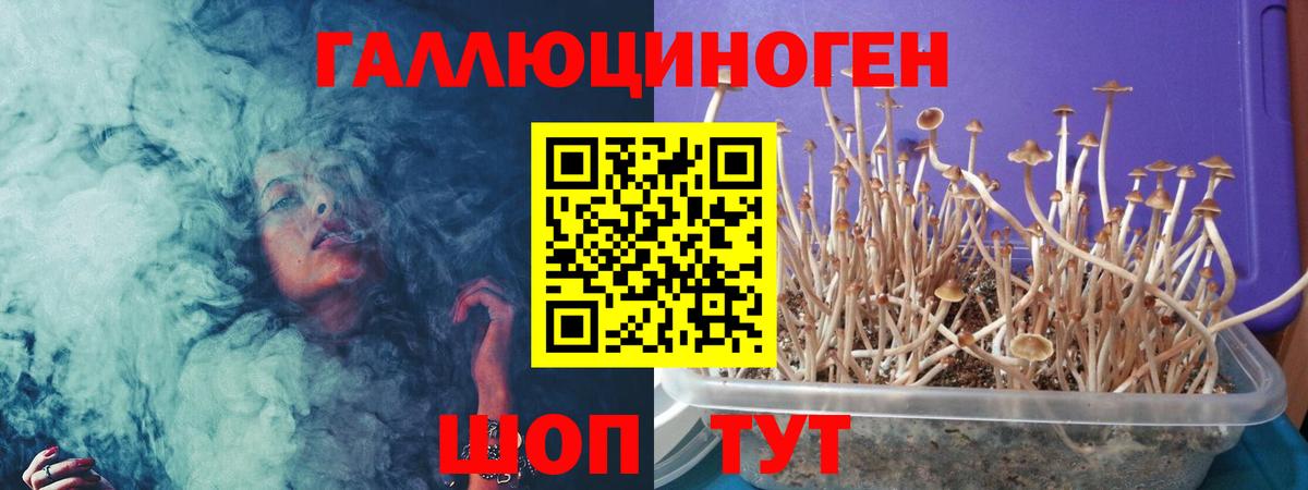 Зима  Галлюциногенные грибы ЛСД  Галлюциногенные грибы прущие грибы  Вход с VPN 
