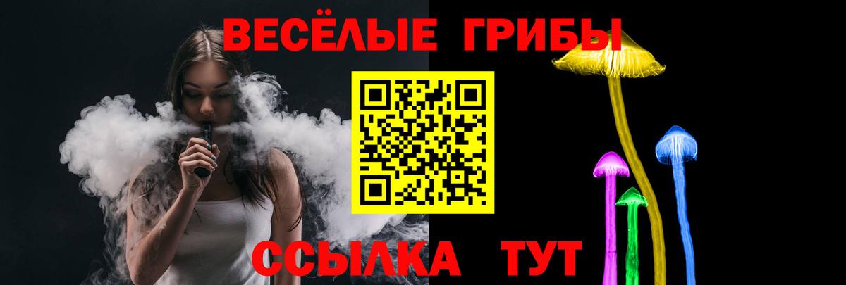 Псилоцибиновые грибы MAGIC MUSHROOMS Зима